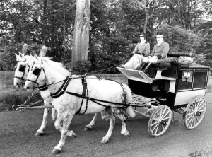 00074 Prints: Head Coachman Helen Wrightham in Print