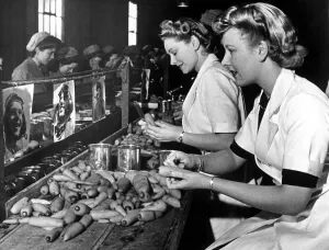 00075 Prints: Print of girls at a canning factory in Boston, making Blitz soup