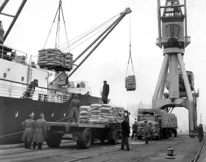 00081 Prints: Dockers Unloading at North Shields Quay Print, 1954