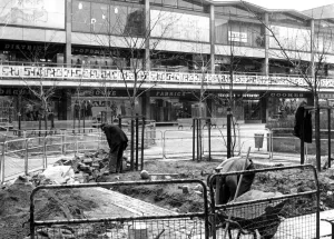 00088 Prints: Trees in Lower Precinct, Coventry Print 7th February 1970