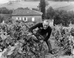 00091 Prints: Lord Marples at his Vineyard in France Print, June 1975
