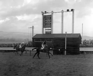 00096 Prints: 1956 Cheltenham National Hunt Meeting Print