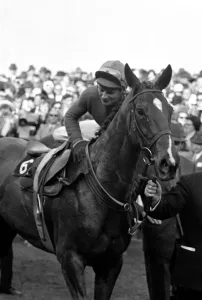 00096 Prints: Cheltenham Gold Cup 1972 Print
