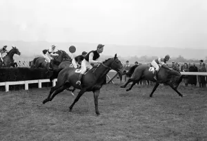 00096 Prints: Cheltenham Festival 1960 Print