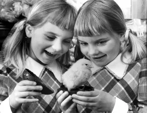 00099 Prints: Coventry Twins Discover Live Chick Easter Egg Print 1976