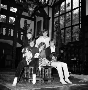 Entertainment In The 1960s Prints: The Bee Gees - Pop Group 18th September 1968