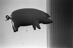 Pink Floyd Inflatable Flying Pig Print December 1976