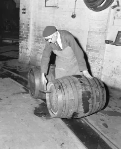 Vintage Brewery Scene Prints: Using tools that have not changed for generations, Mr Harold George makes his inspection