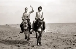 Donkey Rides on Exmouth Beach, 1962 Print