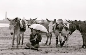 Raining Donkey Rides Print August 1977