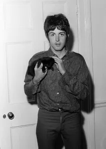00180 Prints: Paul McCartney with Kitten Print, 18 June 1967
