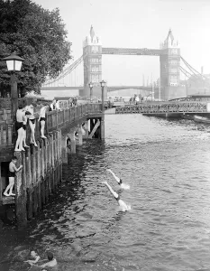 Prints of Boys jumping off the bank of the River Thames into the water on hot summers day near Tower Bridge, London. June 1952 Bridge Prints: Boys Jumping into the River Thames, London, June 1952 Print