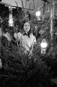 Blackout Christmas Trees Print, Market Hall, Birmingham 1973