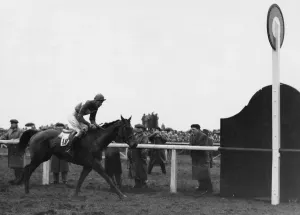 Prints of Quare Times seen here winning the 1955 Grand National 28th March 1955 0500to0599 Prints: 1955 Grand National Winning Print of Quare Times