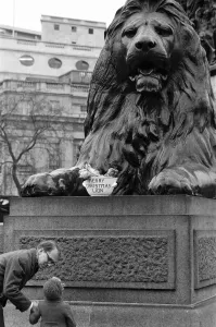 Nelson's Column Lion with Christmas Gift, Trafalgar Square Print