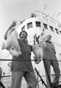 Lord Nelson Prints: Lord Nelson Trawler Crew with Christmas Turkeys Print 1978