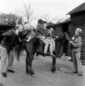 Leslie Phillips Family Print at Stanmore Riding School, 1961
