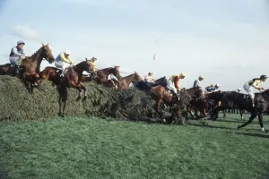 1968 Grand National Print: Red Alligator at the Chair