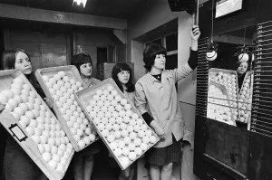 Tennis Balls Bounce Test Print, Slazenger Bradford 1968