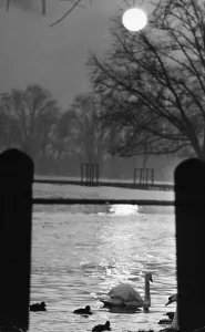 Prints of Scenes at sunset looking along the River Cam in Cambridge. 18th January 1966 Cambridge Prints: Scenes at Sunset Print: A River Cam View in Cambridge