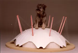 Missey tries out her millennium dome home A©Mirrorpix Missey tries out her millennium dome home A©Mirrorpix