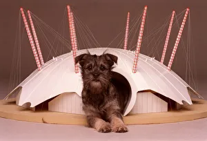 Missey tries out her millennium dome home December 1999 A©Mirrorpix Missey tries out her millennium dome home December 1999 A©Mirrorpix