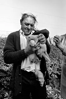 Mr Robinson pictured with his pet Ferrets. May 1975 Mr Robinson pictured with his pet Ferrets. May 1975
