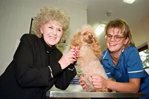 Images Dated 10th October 1996: Mrs Beryl Cartmale with one legged poodle Amber and PDSA veterinary nurse Mandy Woodall