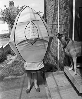 Images Dated 21st August 1974: Mrs Hilda Watson tries on a giant 4 foot rugby ball as her dog Amber watches on bemused