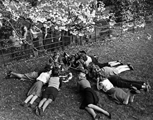 Munitions workers taking in the sunshine as they have their fortunes told by Miss Ethel Munitions workers taking in the sunshine as they have their fortunes told by Miss Ethel
