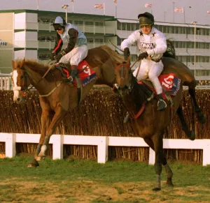 Nahthen Lad right Mr Mulligan at the last to win the Sun Alliance Chase at Cheltenham Nahthen Lad right Mr Mulligan at the last to win the Sun Alliance Chase at Cheltenham