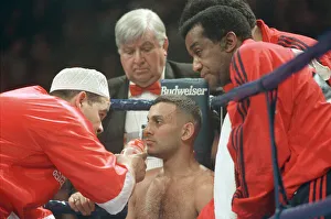 Naseem Hamed vs. Paul Ingle was a professional boxing match contested on April 10 Naseem Hamed vs. Paul Ingle was a professional boxing match contested on April 10