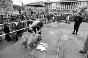The NCH giant jig saw campaign in Trafalgar Square, Disc jockey Ed Stewart placed part of The NCH giant jig saw campaign in Trafalgar Square, Disc jockey Ed Stewart placed part of