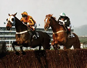 Nortons Coin goes head to head with Garrison Savannah in the 1991 Cheltenham Gold Cup Nortons Coin goes head to head with Garrison Savannah in the 1991 Cheltenham Gold Cup
