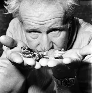 Orange frogs in the palms of a man's hand April 1975 75-2149-008 Orange frogs in the palms of a man's hand April 1975 75-2149-008