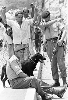 Oscar the four year old labrador adopted by Zulu Company of the Royal Marines seen here Oscar the four year old labrador adopted by Zulu Company of the Royal Marines seen here
