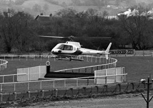 Here are a pair of the fastest Colts ever to race over the hallowed turf of Cheltenham Here are a pair of the fastest Colts ever to race over the hallowed turf of Cheltenham