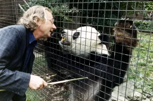 Panda with former Mirror Journalist July 1988 Panda with former Mirror Journalist July 1988