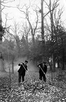 Park Rangers, gathering leaves at Stewart Park, Marton, Middlesbrough, England Park Rangers, gathering leaves at Stewart Park, Marton, Middlesbrough, England