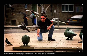 Paul zenon pigeon trap august 1997 Edinburgh festival performer traps live pigeons to Paul zenon pigeon trap august 1997 Edinburgh festival performer traps live pigeons to