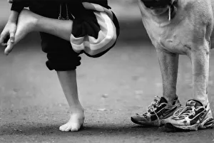 Picture shows a dog wearing trainers presumably belonging to the young boy on the left Picture shows a dog wearing trainers presumably belonging to the young boy on the left