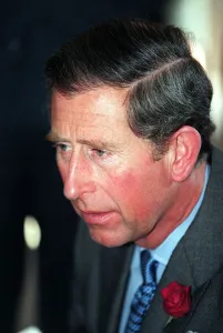 Prince Charles Visting Royal Hospital For Sick Children in Bristol May 1998 Prince Charles Visting Royal Hospital For Sick Children in Bristol May 1998