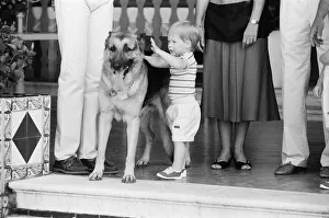 Prince Harry befriends the family dog. Rest of this picture set Prince Harry befriends the family dog. Rest of this picture set