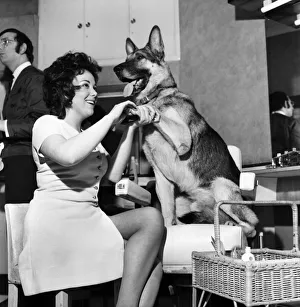 Prince Karl the Alsatian. Before Prince appeared in front of the press he had to have a Prince Karl the Alsatian. Before Prince appeared in front of the press he had to have a