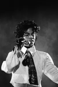 Prince at the NEC Lovesexy Tour Print, 5th August 1988. Art