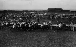 Prince Simon leads the field with 3/4 mile to go, The eventual winner of the Derby was Prince Simon leads the field with 3/4 mile to go, The eventual winner of the Derby was