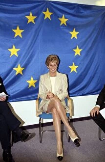 Images Dated 25th October 1993: Princess Diana poses beneath the flag of the European Community in Brussels