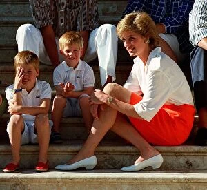 Images Dated 13th August 1988: Princess Diana poses with her sons, Prince William and Prince Harry at a photocall