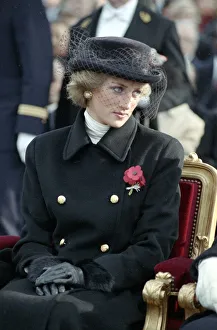 The Princess of Wales at an armistice service in Paris during an official visit to France The Princess of Wales at an armistice service in Paris during an official visit to France