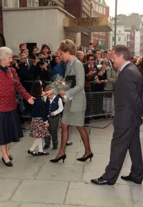 Princess of Wales, who has been appointed vice-President of the British Red Cross Princess of Wales, who has been appointed vice-President of the British Red Cross